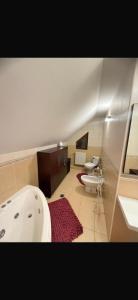 AMK House-Busteni 1