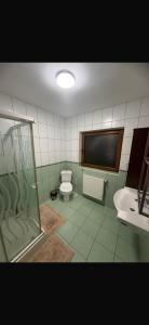 AMK House-Busteni 1