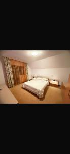 AMK House-Busteni 1