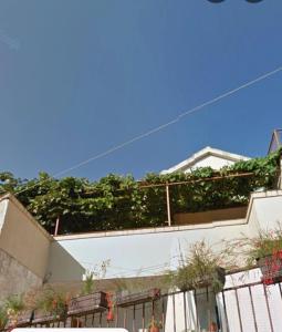 Apartman Terrazza