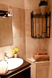 Appartements La Charme Du Marais : photos des chambres