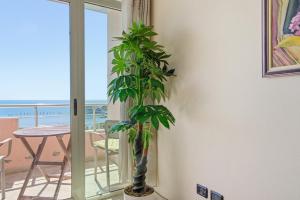 Spacious 3BR Volga Promenade Durres