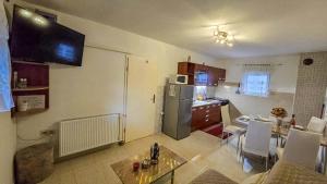 Apartments Plavsic
