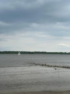 Reet-Denkmal am Elbstrand