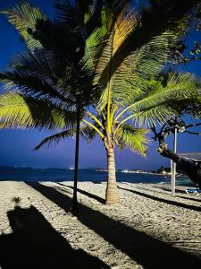 Oceanfront 1BR Balcony Condo Marien Beach Resort 111