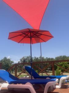Tropical 1BR Suite with Pool Access - Flying Pig