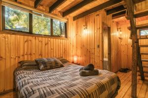 M Refugio 5 I Lleuque I 4 personas I Tinaja I Bosque nativo