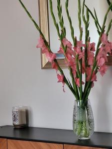 Apartament Studio