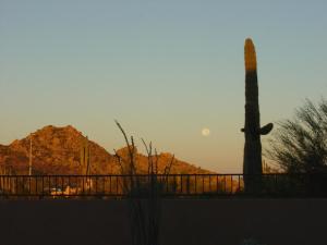 Secluded Resort Home-Mountain Views in Scottsdale, Cave Creek, Carefree!
