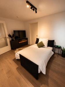 Design Apartment 5 am Titisee mit Kamin, E-Ladestation, Balkon, Top Lage