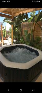 Baulus Yard Luxury II