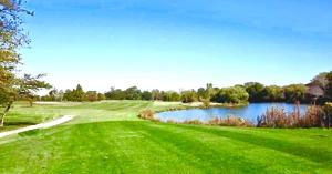 Modern 1BR Near Midway - CTA Train - Golf Nearby