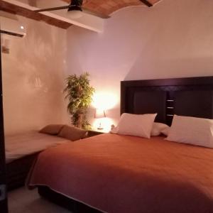 Casa Escondida en el Corazón de la Zona Romántica de Puerto Vallarta