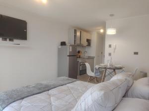 Oceanfront apartment overlooking the port of Coquimbo