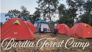 Bardia Forest Camp