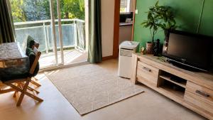 Appartement thème jungle