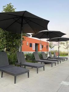 Casa al Sur de Guadalajara con Alberca, Lago, Gym, Parque y Vista al bosque en Salida a Morelia López Mateos