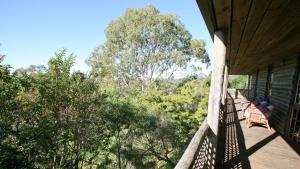 Tilba Heights - Punkalla-Tilba Road 37