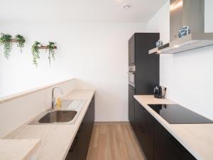 12 Guests Stylish Apartment in Antwerp