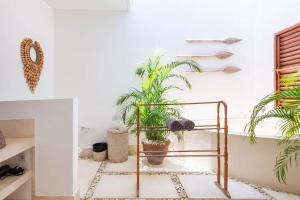 Villa Jago - Spacious Luxury 3BR Villa in Seminyak