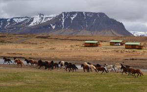 Snorrastadir Accomodation