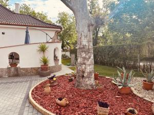 Thermal Garden Weninger Apartmanok