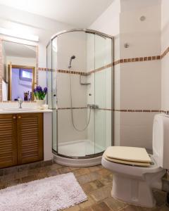 Epidavros Villas Voukamvilia Retreat, Shared Pool
