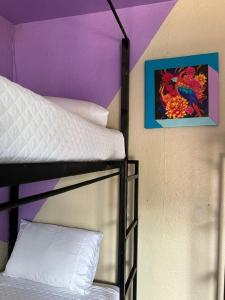 Funk Yeah Hostel