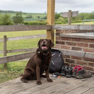Tistockers Log Cabin dog friendly with 1 acre field 2 DOGS ONLY