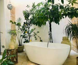 Paolo & Francescas Trapani Loft