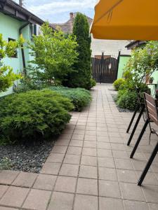 Casa Aurelia