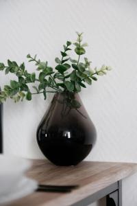 Sevres Cosy studio