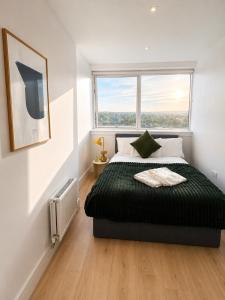 Luxury 3BR Wembley Stadium View