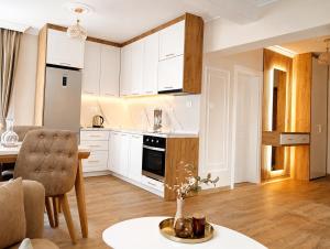 Central Vista Apartment Shkodra