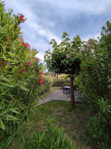 T2 Picculu - Garden, swimming pool, 4 ppl, parking