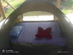 Cuyabeno Camping
