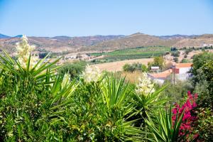 Countryside Oasis Near Silves