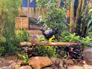 Berry homestay 1