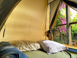 Berry homestay 1
