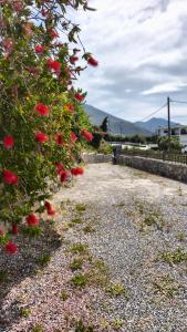 Arodamos Residence Mariou