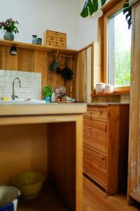 Creatively Converted Wooden Shed In The Forest