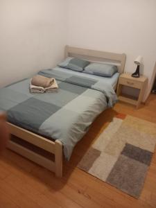 Apartment ZagZag