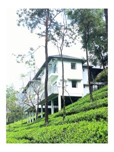 vagamon valley bliss