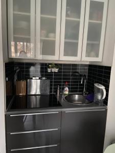 Cannes Seasonal Rental