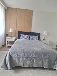 Apartamenty Zdrojowe