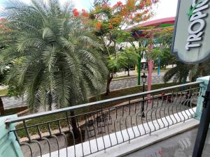 Arcadia homestay
