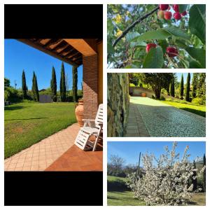 Casale la COLLINA DEI CILIEGI