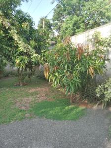 HIKKA LAK RAN VILLA