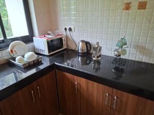 MARYTHONY GUEST HOUSE,Cansaulim