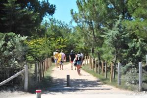 Camping à 300m de la plage La Pege